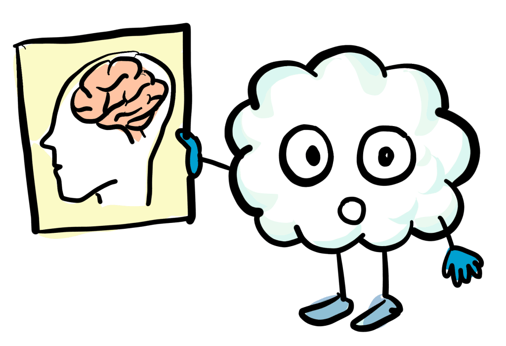 p'tit mousse explique le cerveau