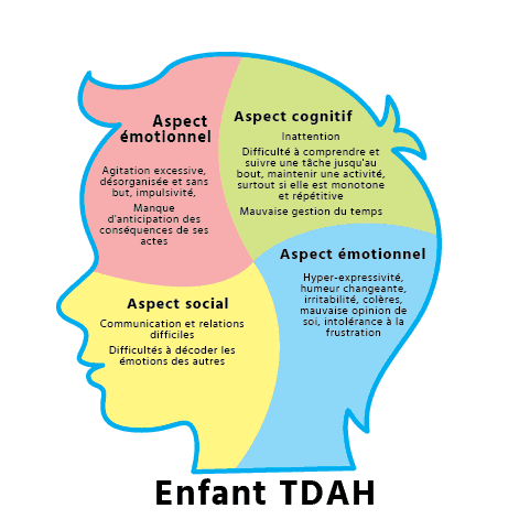 Représentation d'une tête d'enfant avec la représentation des différents aspects impactés par le TDAH