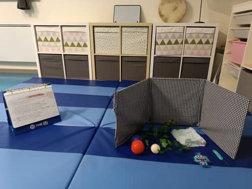 L’Histoire Sensorielle pour soutenir le développement du jeune enfant porteur de TND ou d’un Polyhandicap