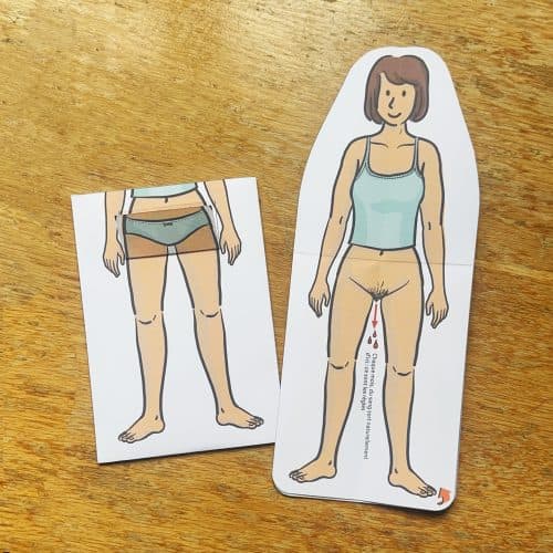Modèle corporel : Comprendre les règles – un support concret et immersif pour comprendre les règles
