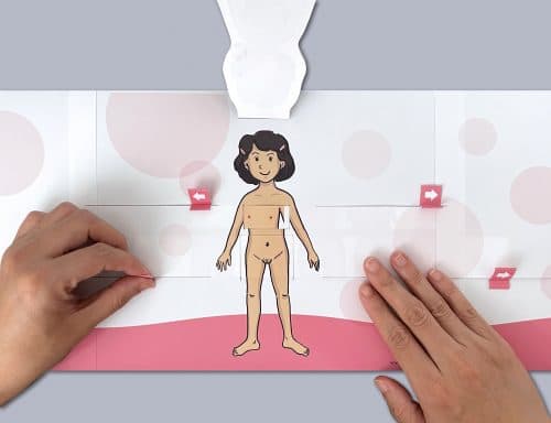 Expliquer les changements du corps à la puberté grâce à un matériel ludique