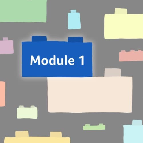 LEGOthérapie et pédagogie par le jeu – module 1 seul